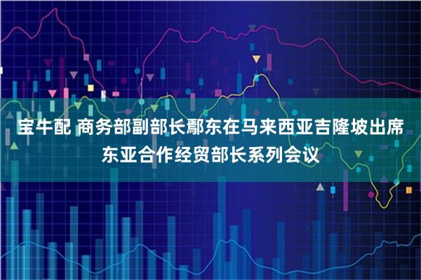 宝牛配 商务部副部长鄢东在马来西亚吉隆坡出席东亚合作经贸部长系列会议