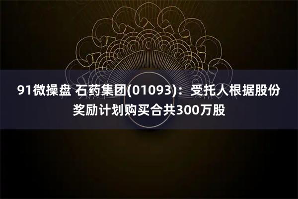 91微操盘 石药集团(01093)：受托人根据股份奖励计划购买合共300万股