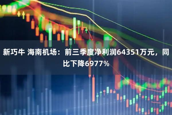 新巧牛 海南机场:前三季度净利润64351万元,同比下降6977%