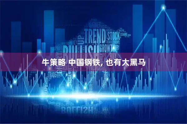 牛策略 中国钢铁, 也有大黑马
